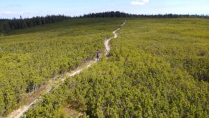 Endless Trail Paths in nature environment on Rogla